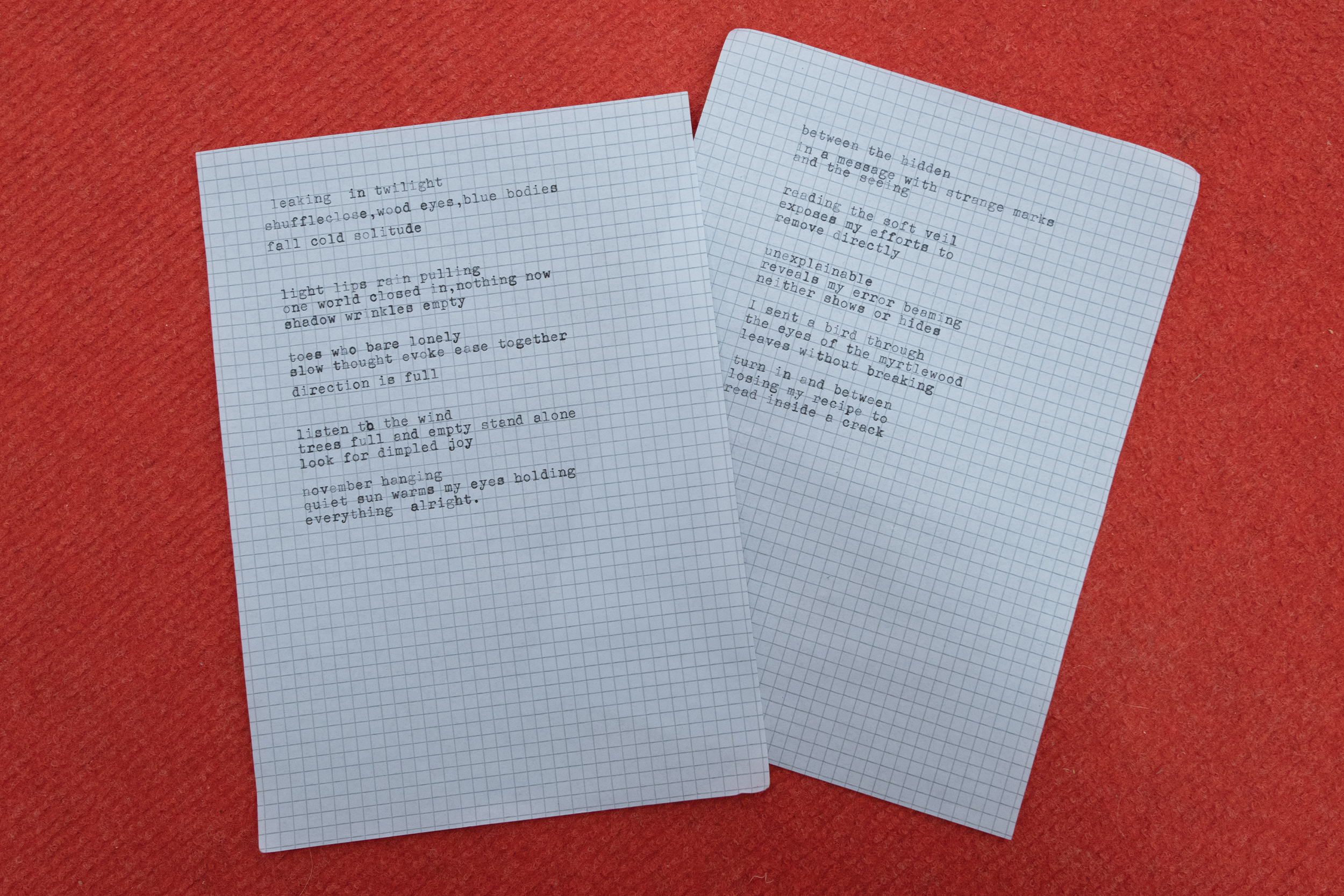 exhibition text ; 14.8 x 21 cm (x2)